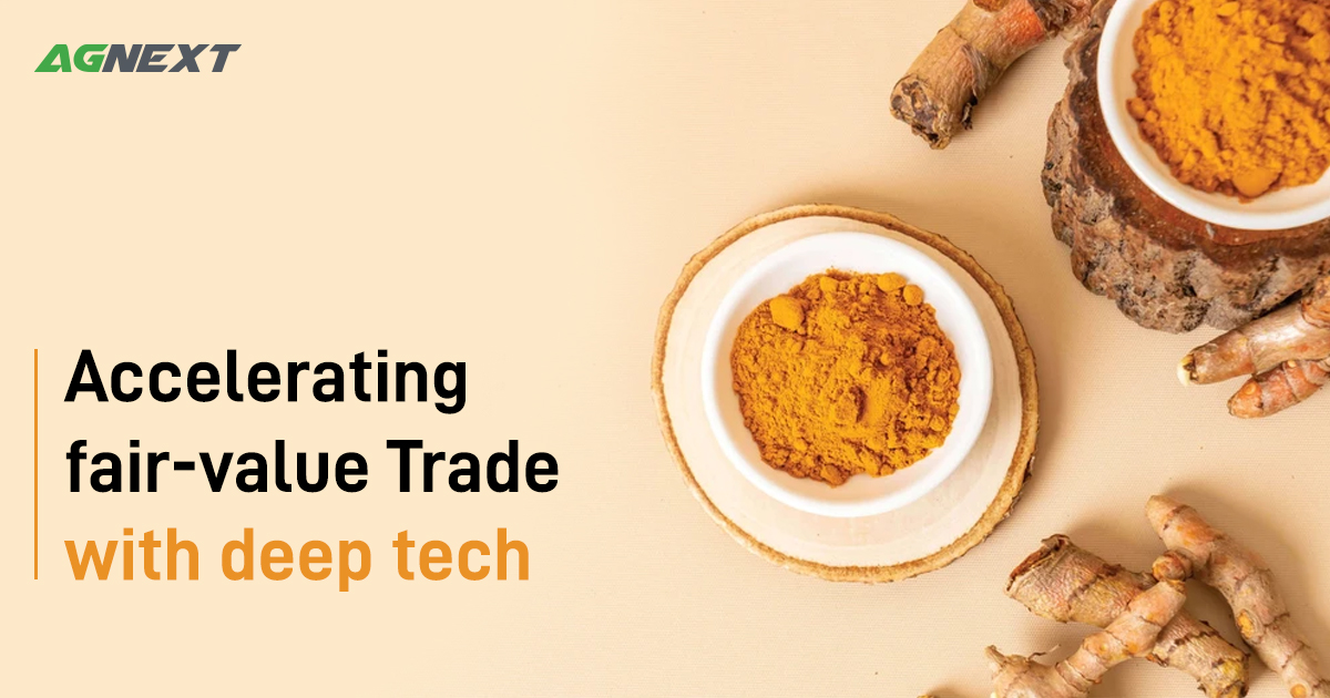 Turmeric Quality